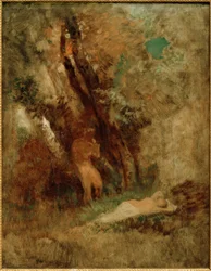 Waldlandschaft